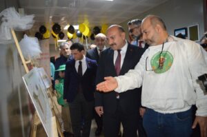 arı dostum,
