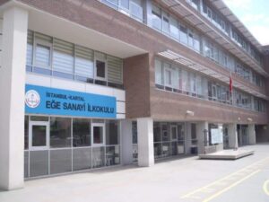 arı dostum,