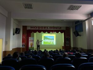 arı dostum,