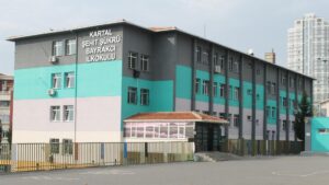 arı dostum,