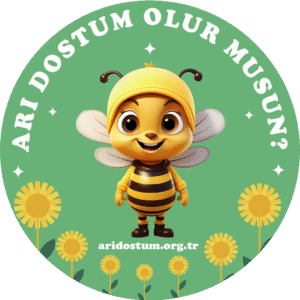 arı dostum,