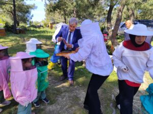 arı dostum,
