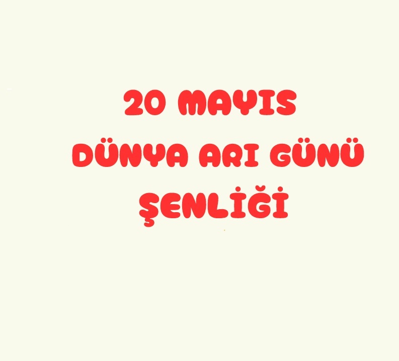 arı dostum,