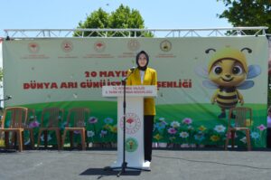 arı dostum,