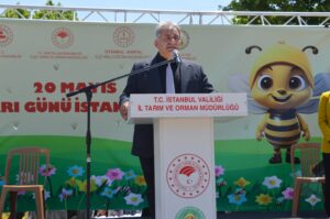 arı dostum,