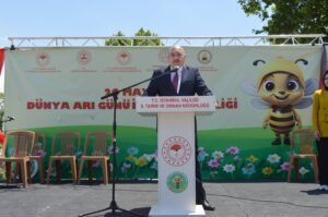 arı dostum,