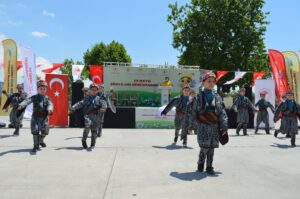 arı dostum,