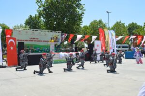 arı dostum,
