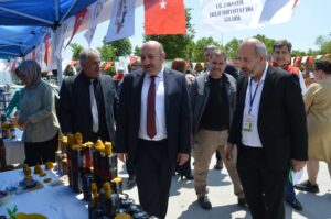 arı dostum,