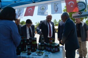 arı dostum,