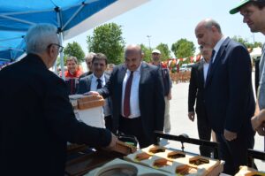 arı dostum,