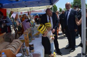 arı dostum,