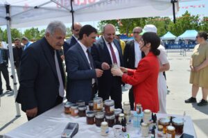 arı dostum,