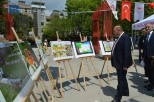 arı dostum,