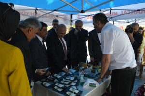 arı dostum,