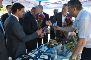 arı dostum,