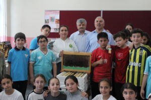 arı dostum,
