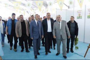 arı dostum,