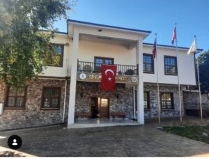 arı dostum,