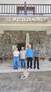 arı dostum,