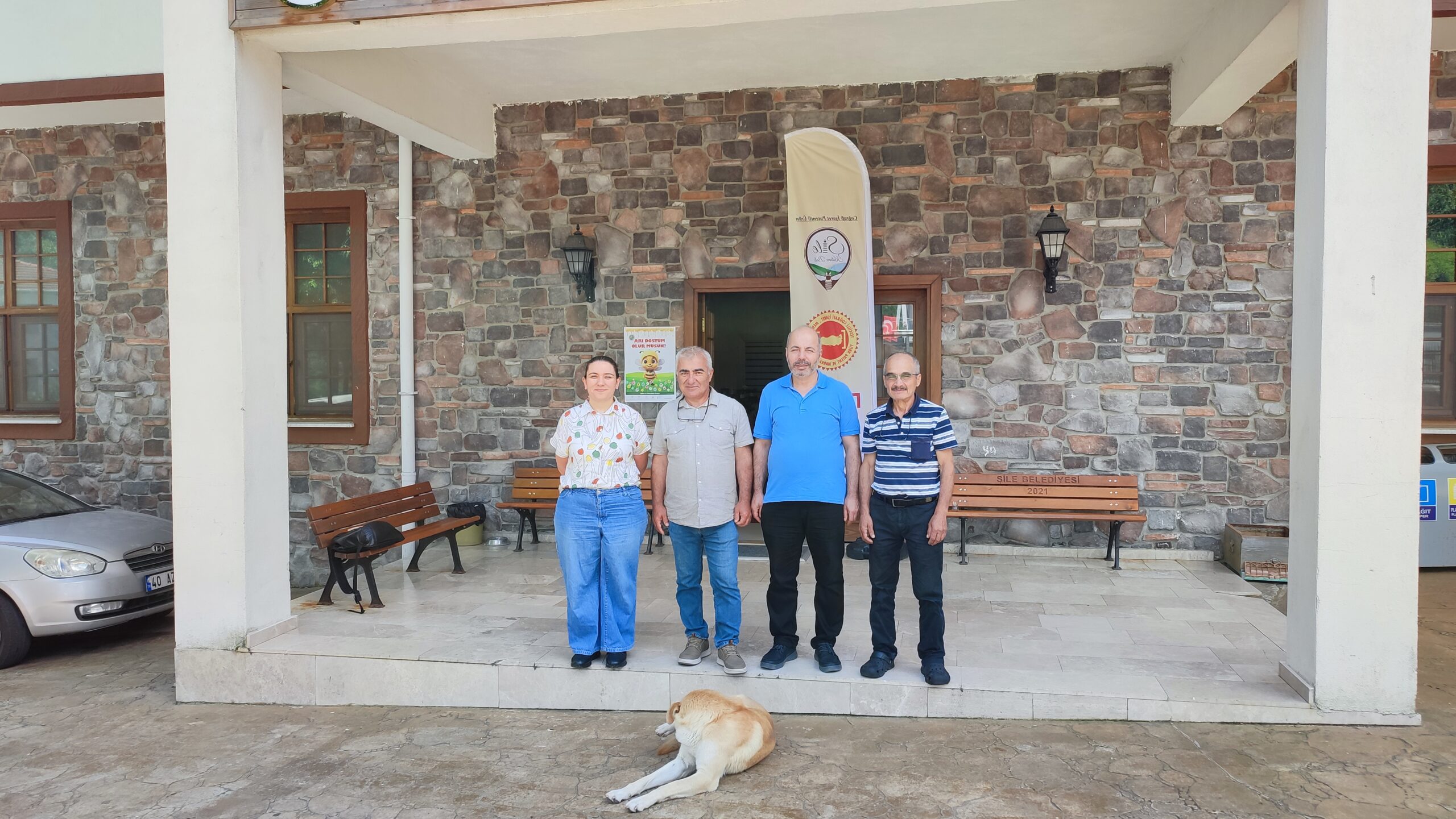 arı dostum,